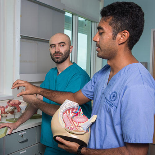 AUC students in a lab