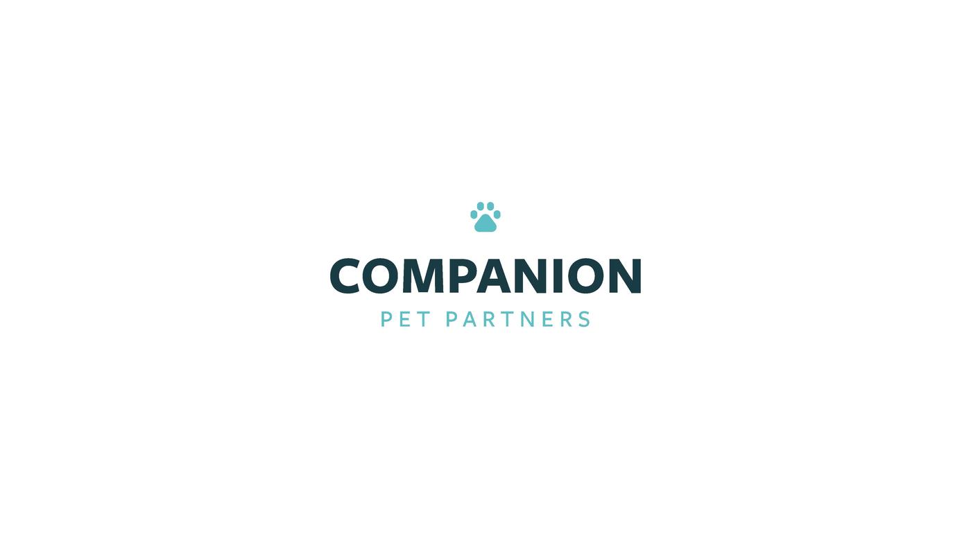 Companion Pet Partners Clinical Award Empower Scholarship Fund pet-partners-during-covid-youtube