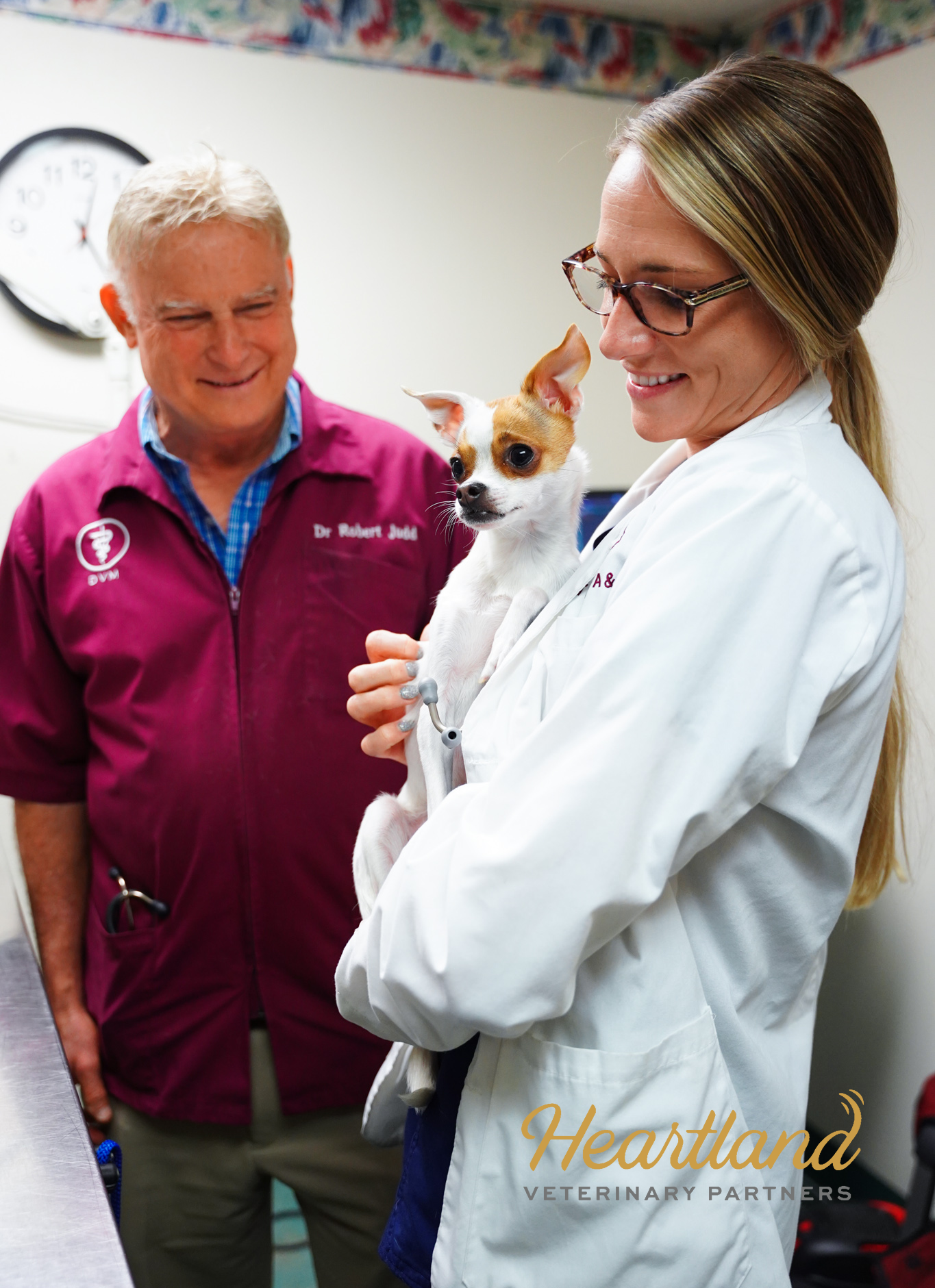 Picture of veterinarians and dog